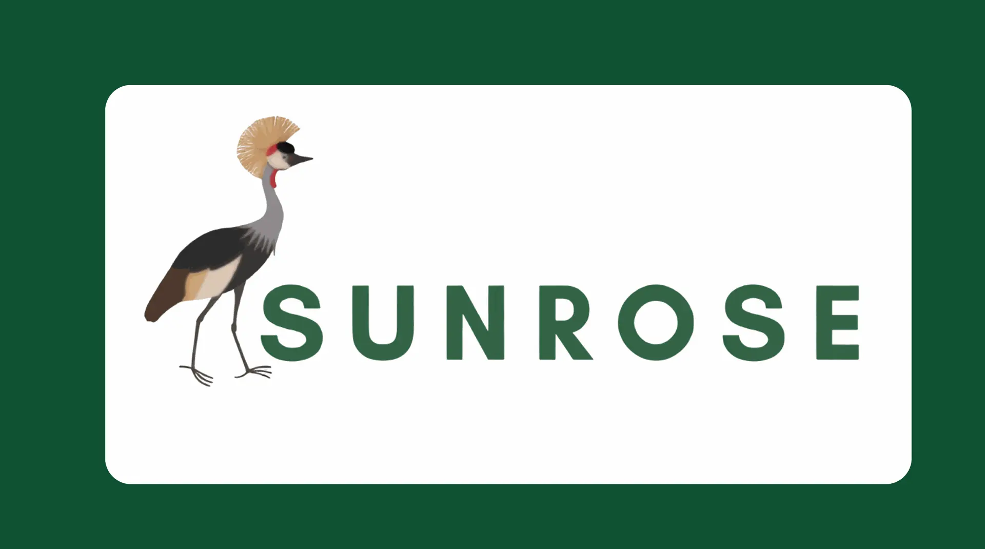Sunross Auto Sales Rebuilder